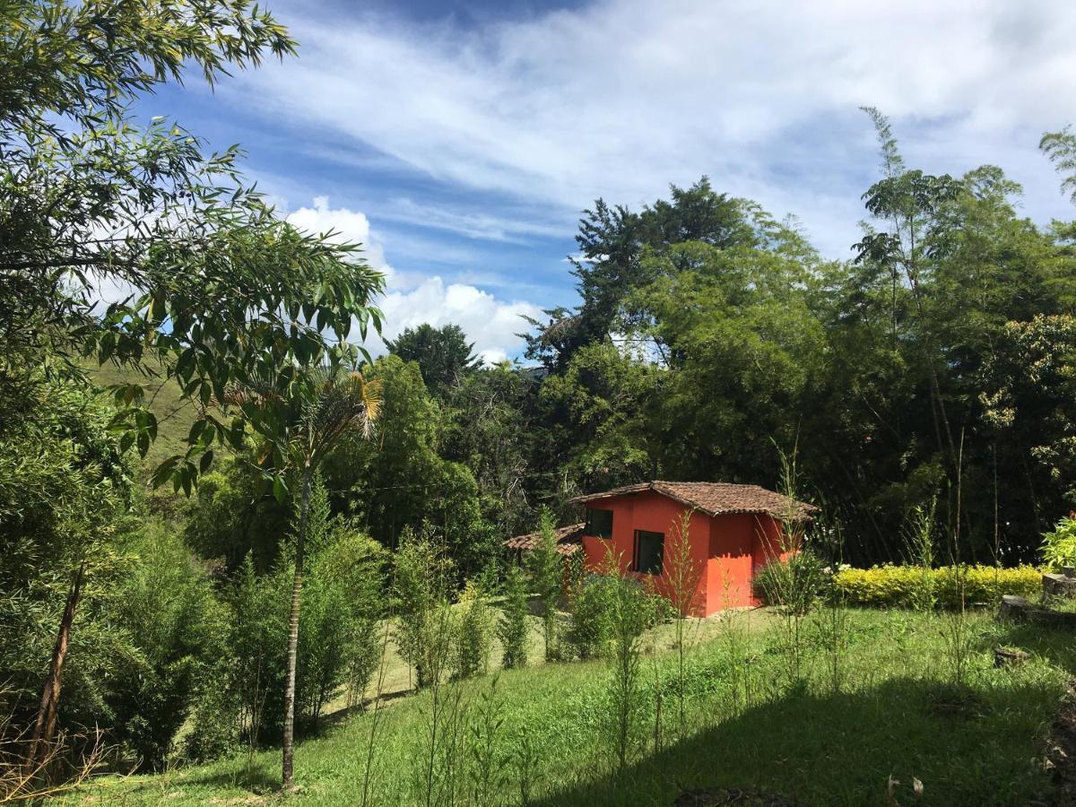 Ecolodge Bahia Del Penon Guatapé Zewnętrze zdjęcie