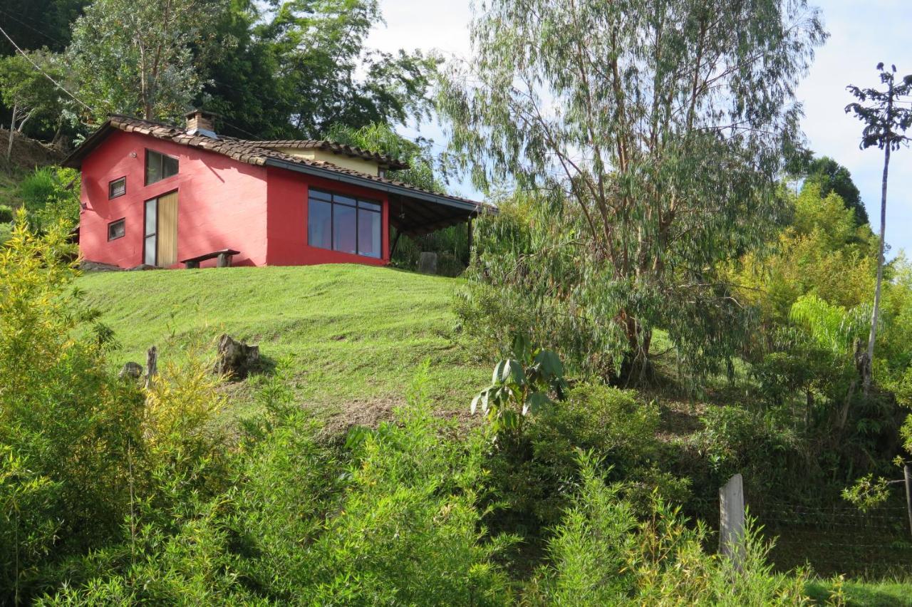 Ecolodge Bahia Del Penon Guatapé Zewnętrze zdjęcie