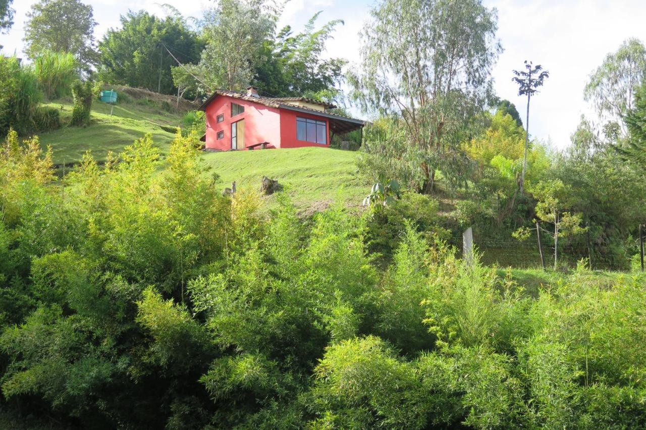 Ecolodge Bahia Del Penon Guatapé Zewnętrze zdjęcie