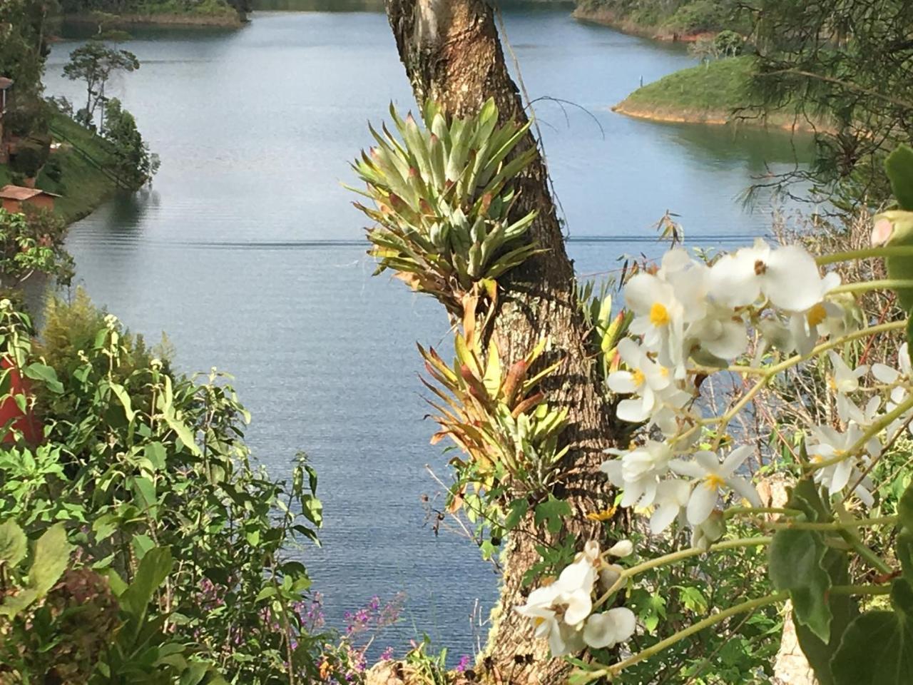 Ecolodge Bahia Del Penon Guatapé Zewnętrze zdjęcie