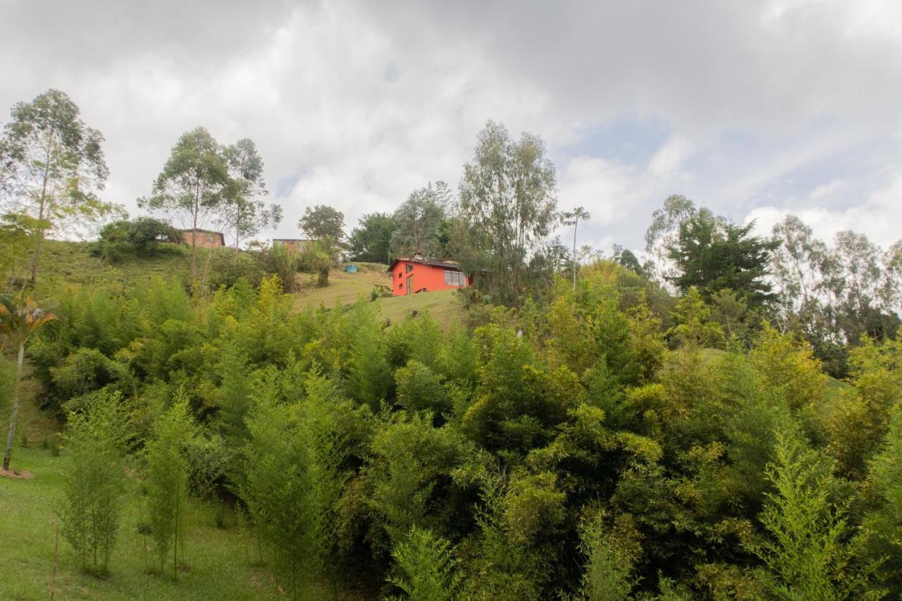 Ecolodge Bahia Del Penon Guatapé Zewnętrze zdjęcie